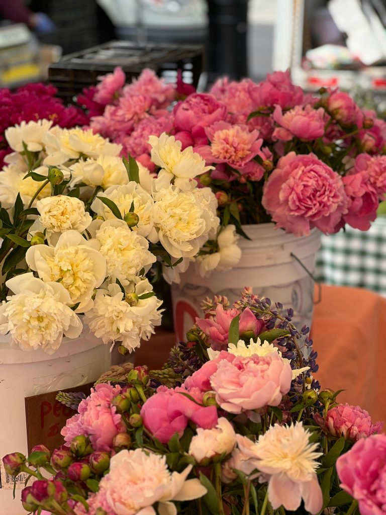Vibrant bouquets of pink and white peonies displayed in market buckets, perfect for floral decoration.
